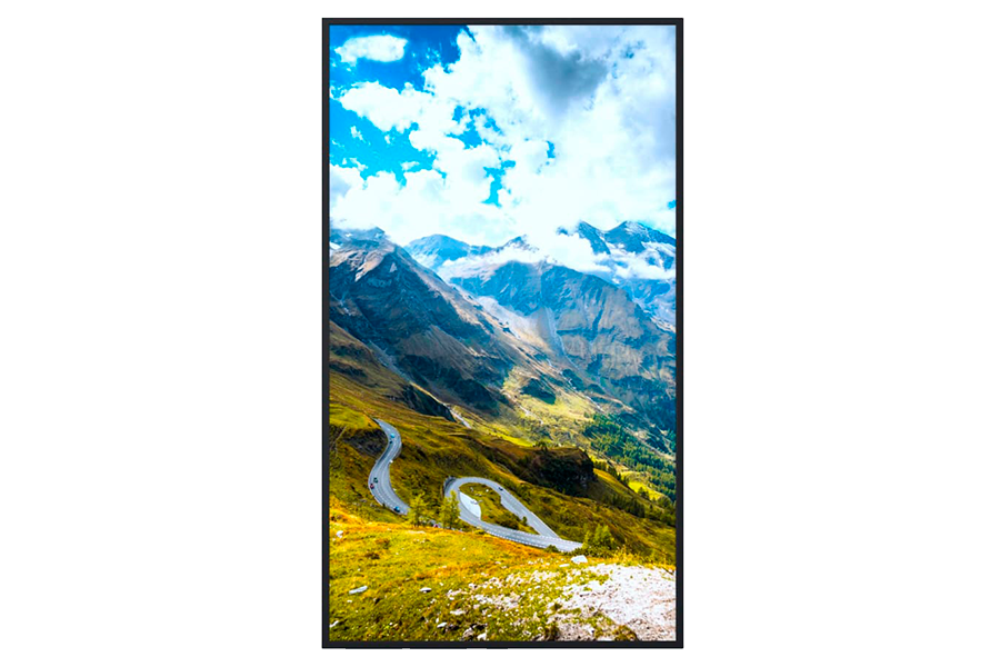 Информационный дисплей Hisense 65" 65WF45H