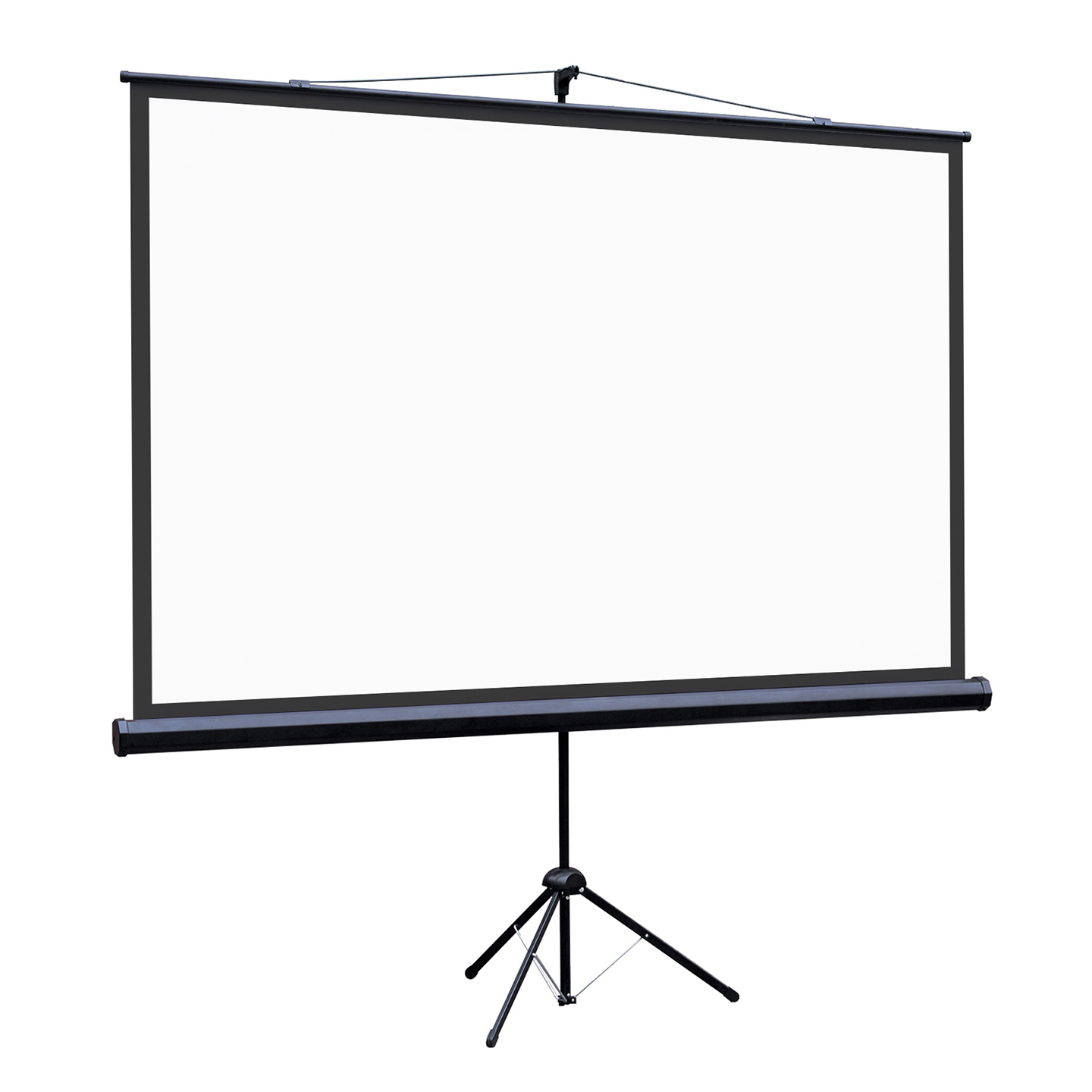 [LEV-100114] Экран на штативе Lumien Eco View