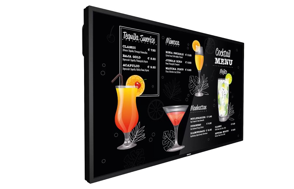 Профессиональный дисплей Philips 43BDL3117P/00