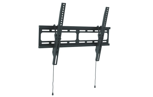 Универсальное наклонное настенное крепление Wize WT55