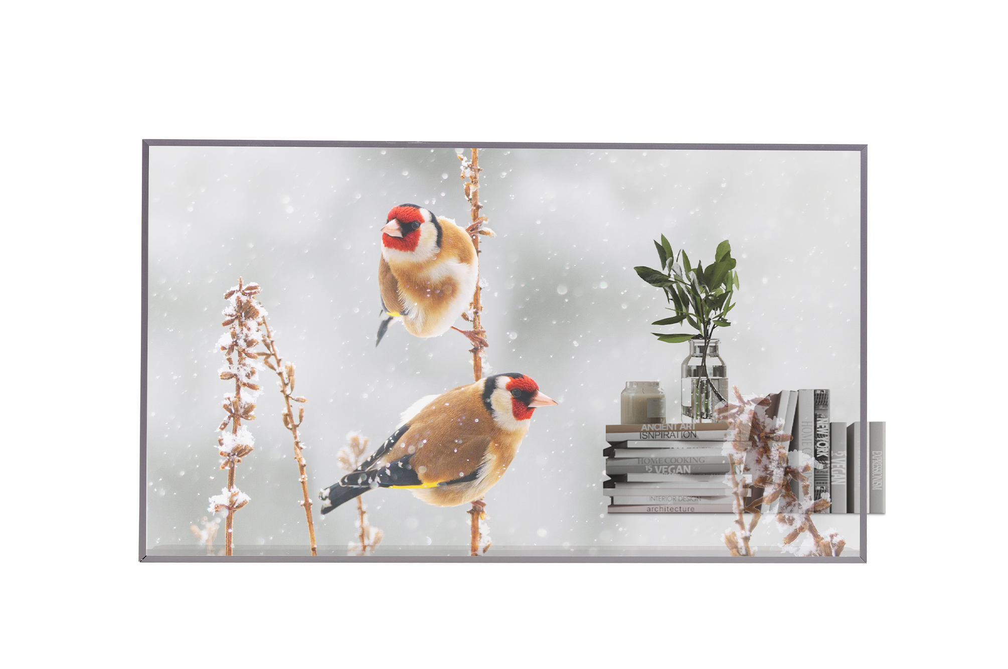 Профессиональный прозрачный OLED дисплей LG 55EW5P-M